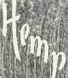 Hemp