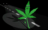 Herbie leaf