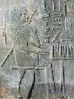 physician