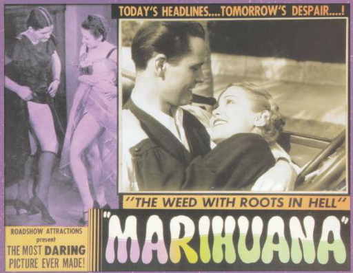 MARIJUANA - THE DEVIL'S WEED